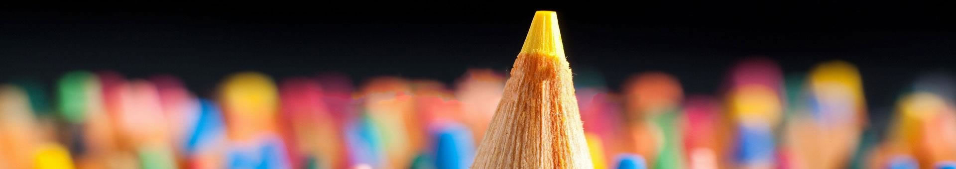 ݶػ޹˾